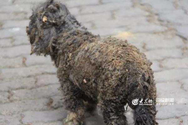 突發(fā)！青島一居民樓發(fā)生爆燃！已造1人死亡，7人受傷！3公里外有震感…