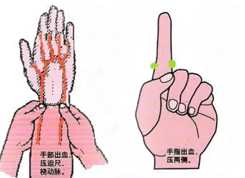 1607583648125126.png 圖片.png